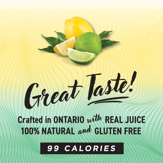 TAG VODKA SELTZER - Lemon Lime