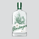 GINSLINGER Ontario Craft Gin - 46%